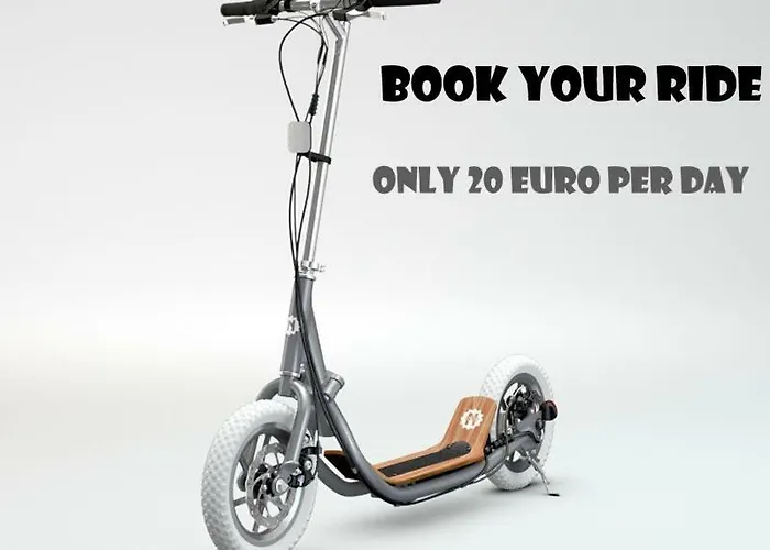 招待所 Feronia 4*